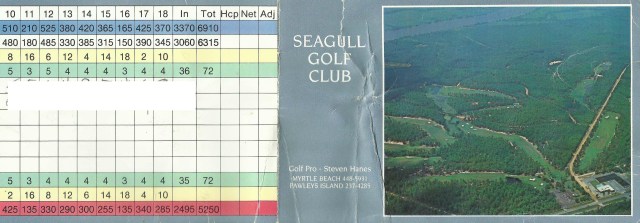 seagullsc-1